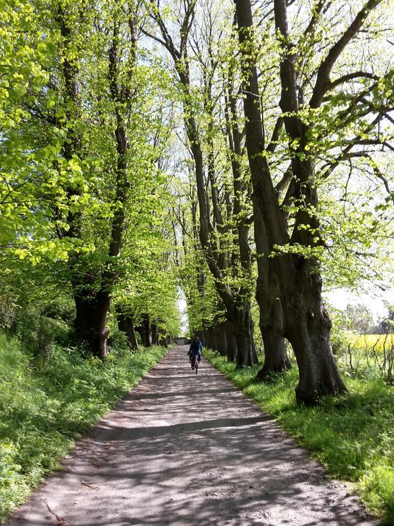 Ferienwohnungen Ruegen Findling Breege Zewnętrze zdjęcie