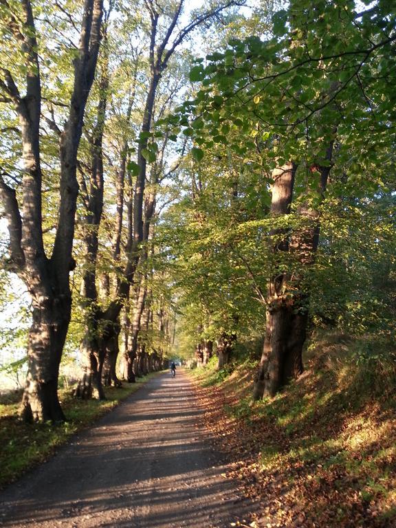 Ferienwohnungen Ruegen Findling Breege Zewnętrze zdjęcie